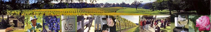 Welcome to Elgee Park Wines in Mornington Peninsula, Victoria