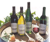 Cool climate Victorian wines, Pinot Noir, Cabernet Sauvignon, Riesling, Chardonnay, Viognier, Pinot Gris, Chardonay, Cabernet Merlot, Merlot, 